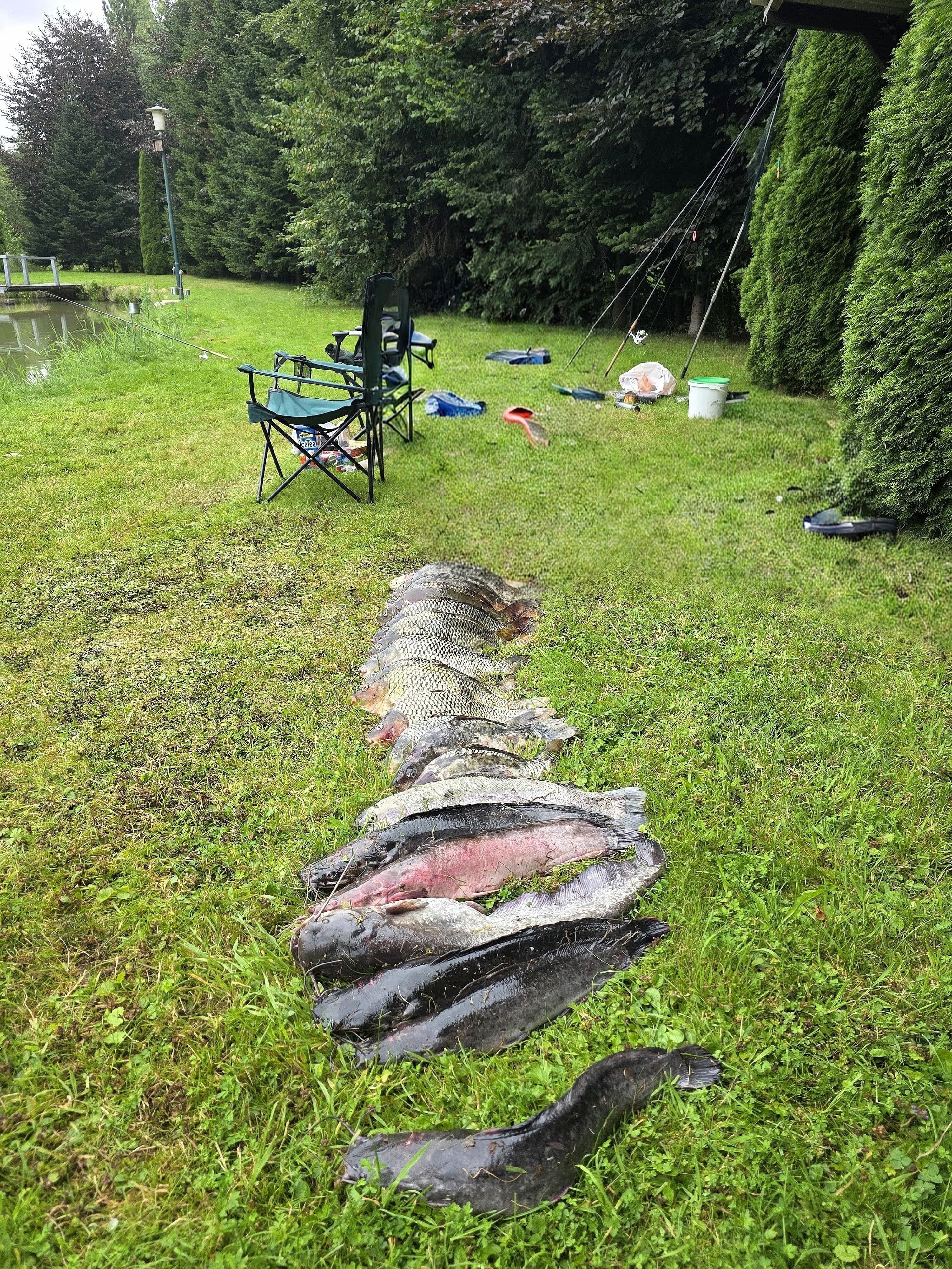 Guter Fang am Forellenteich Alfhausen