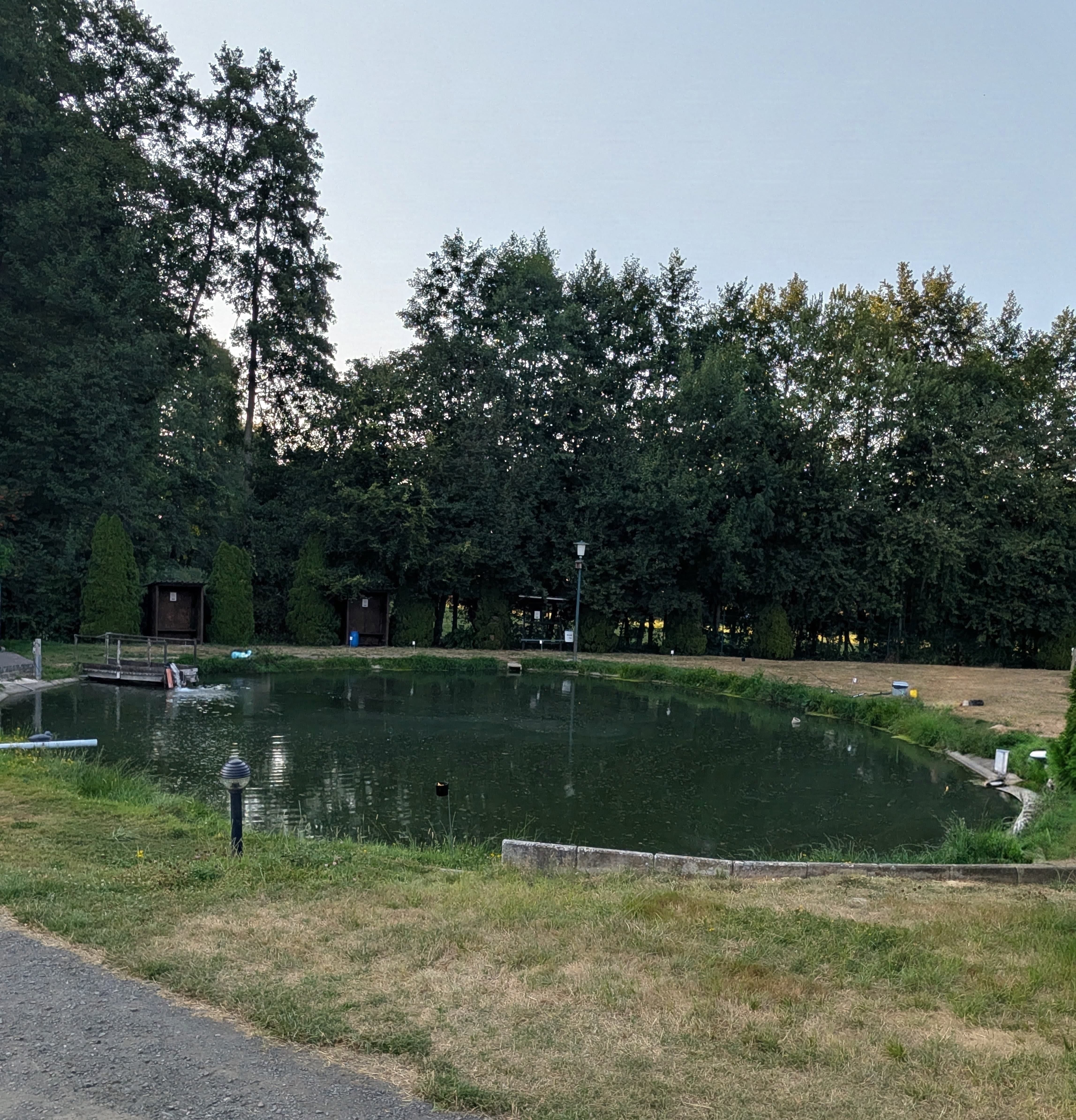 Kleiner Forellen- und Lachsforellenteich in Alfhausen